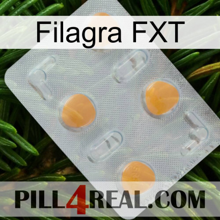 Filagra FXT 24